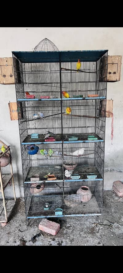 8 portion cage for sale