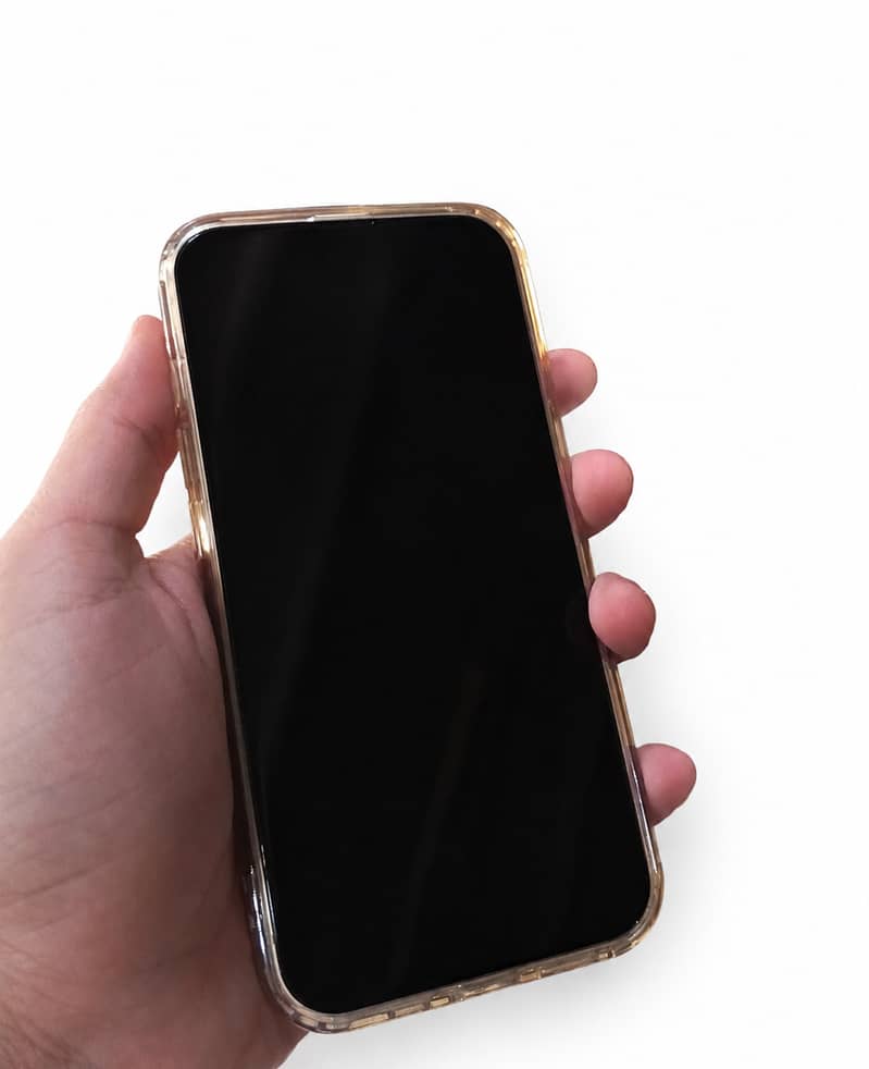 Apple iPhone 13 0