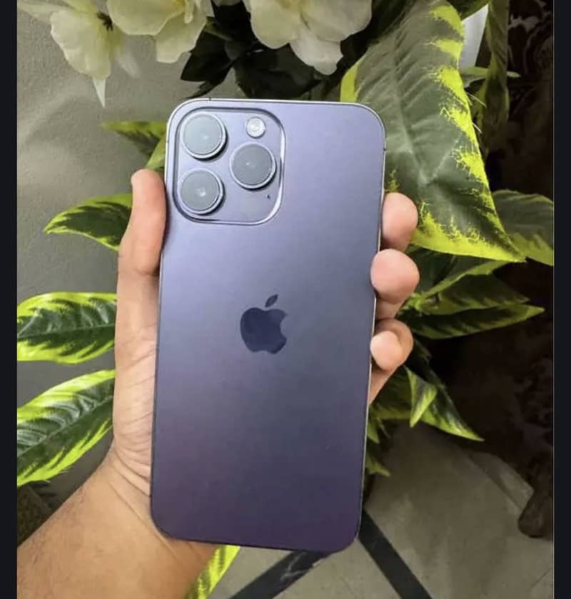 14 pro max 1