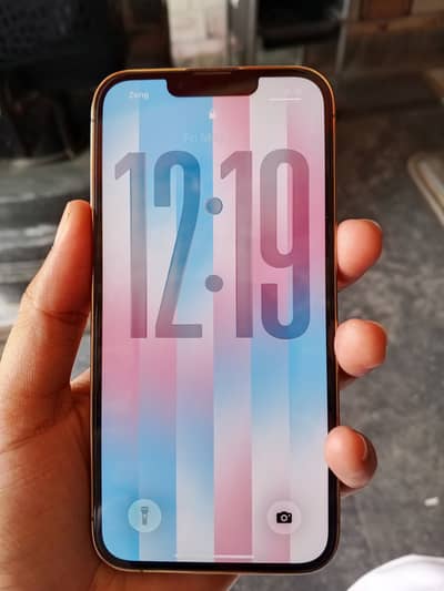 Apple iPhone 13 Pro