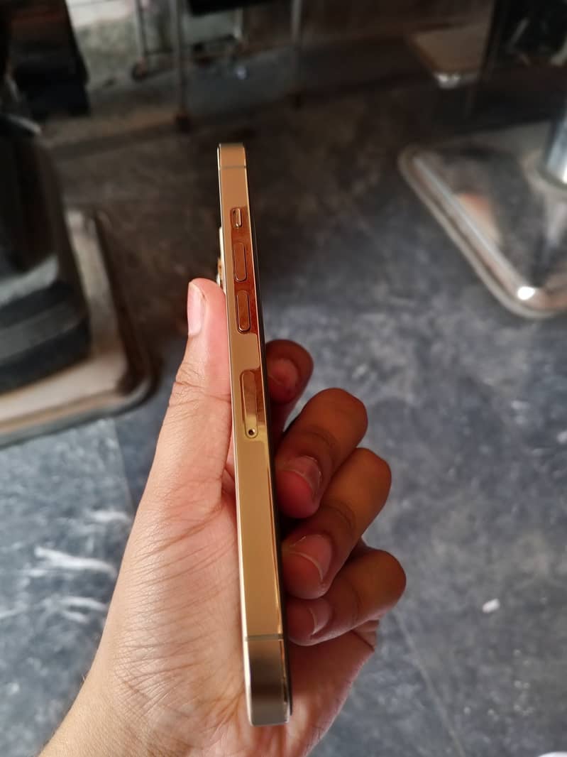 Apple iPhone 13 Pro 1