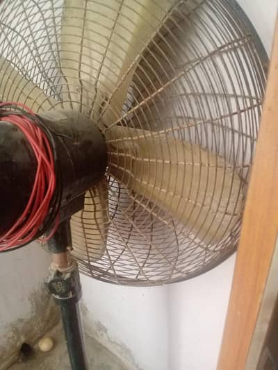 fast sale for pedestal fan