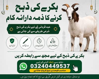03240449537 bakra zibha krvna kay leya rabta kra
