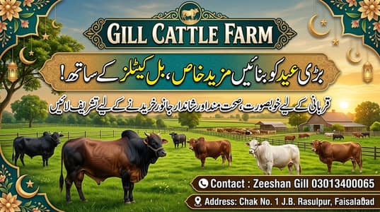 Qurbani Animals | Bulls & Cow | Cattle Farm  |  Bachra | Wacha | Bakra