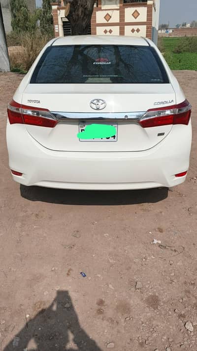 Gli 15 model