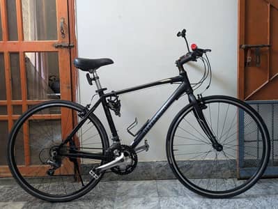 momentum bicycle