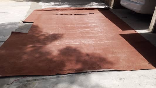carrpat for sale