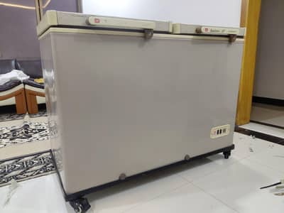 Dawlence 2 door freezer