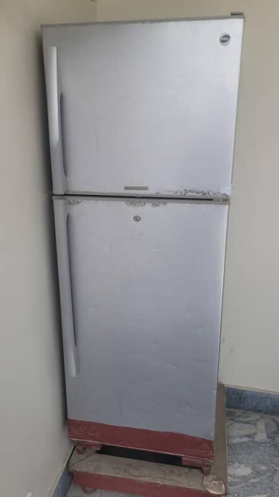 pel fridge 5 ft height