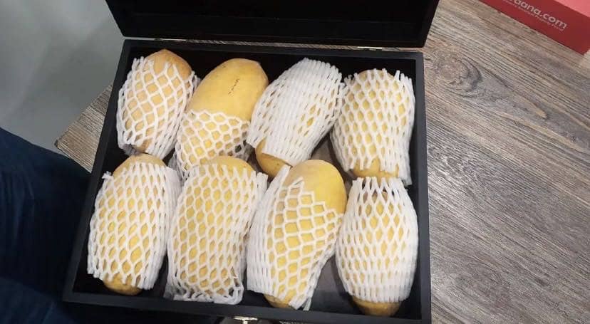 Mango 1