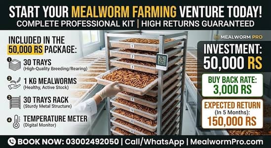 Mealworms Farming | monthly profit 150k to 300k | farming business