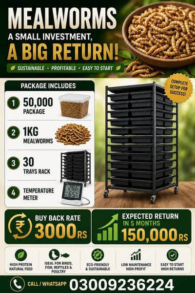 Mealworms Farming | monthly profit 150k to 300k | farming business