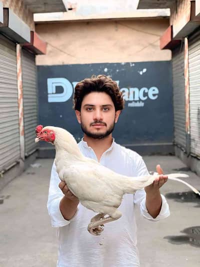 khan