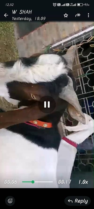 bakar for sell