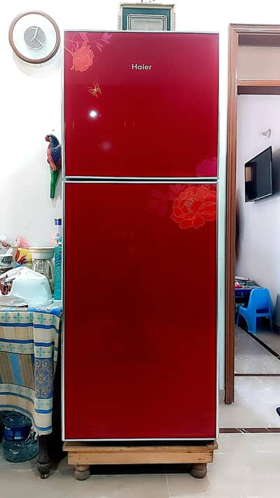 Haier Refrigerator Model # HRF-382RS Slightly Use. . .