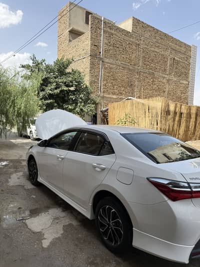 corrola altis