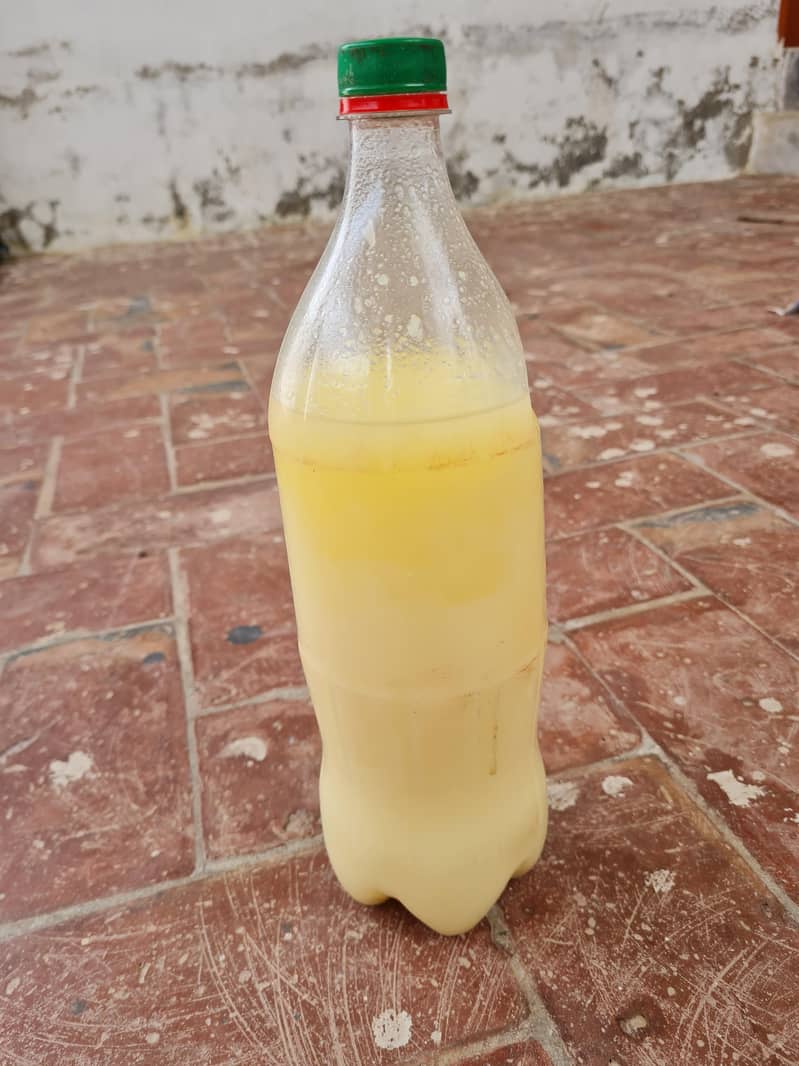 بھینس کا خالص دیسی گھی 1