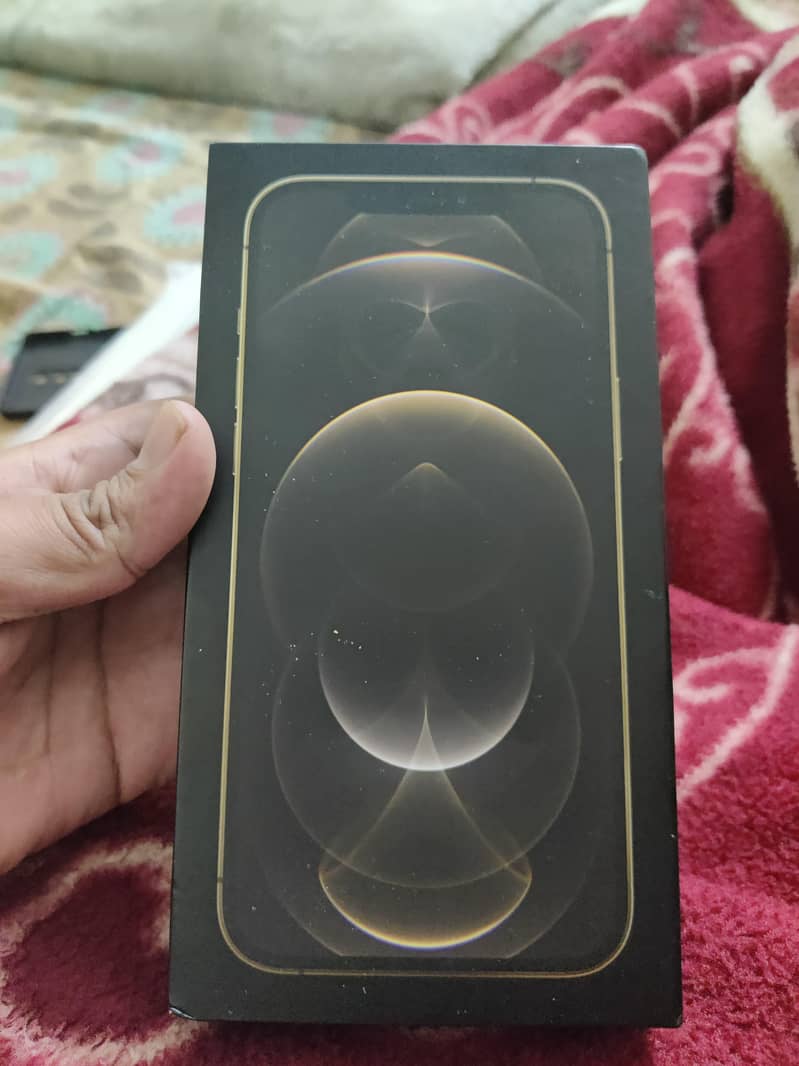 iphone 12 pro max 1