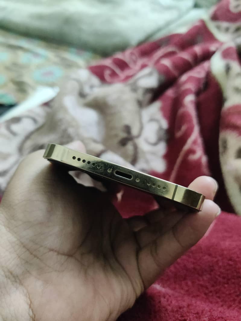 iphone 12 pro max 9