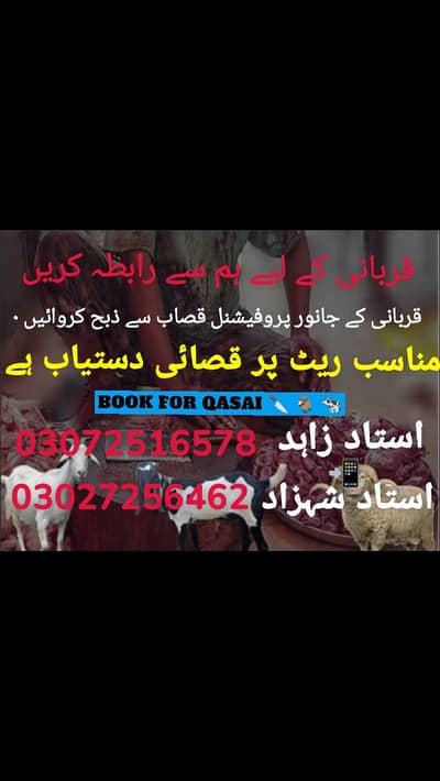 Qurbani k Lia professional qasai dastayab hai wo bhi munasib rait peR