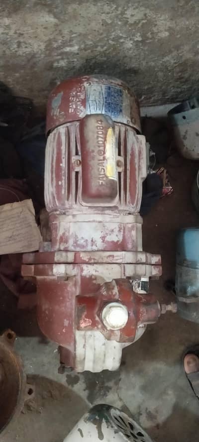 Faisal F1 Water pump