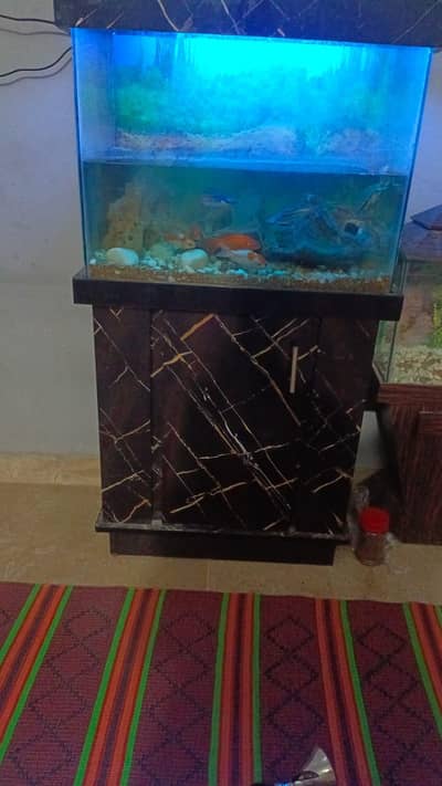 aquarium