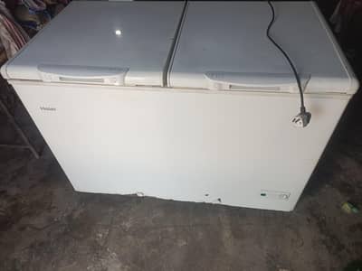 deep freezer double door hair