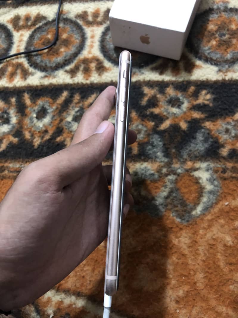 iPhone 8 Plus 5