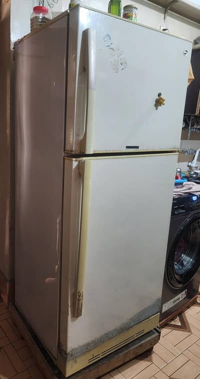 pell refrigerator (fridge) for sale