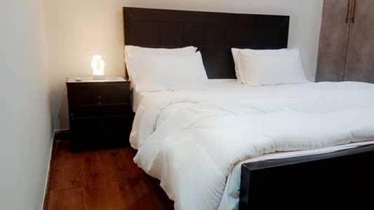 Arena mall 1 BHK furnished apartment available for rent daily basis and weekly