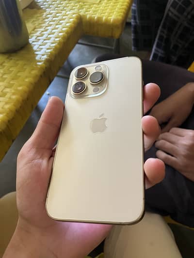 Apple iPhone 13 Pro fu