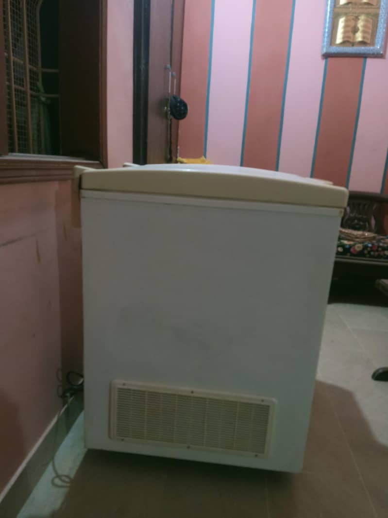 waves D freezer 1