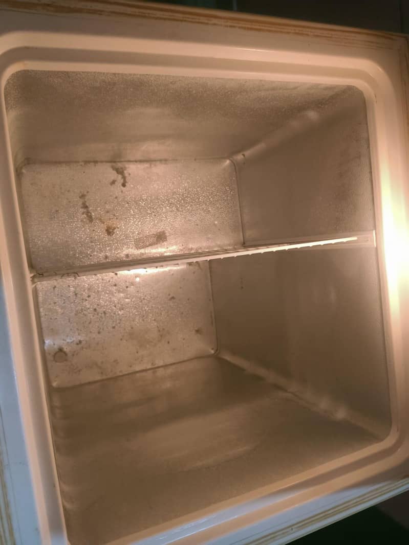 waves D freezer 2