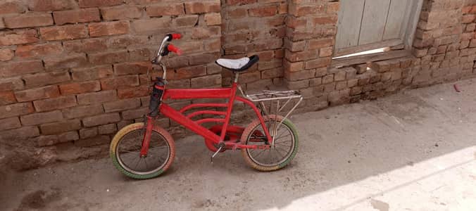 bacho ki cycle