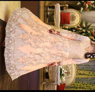 Birdal walima maxi