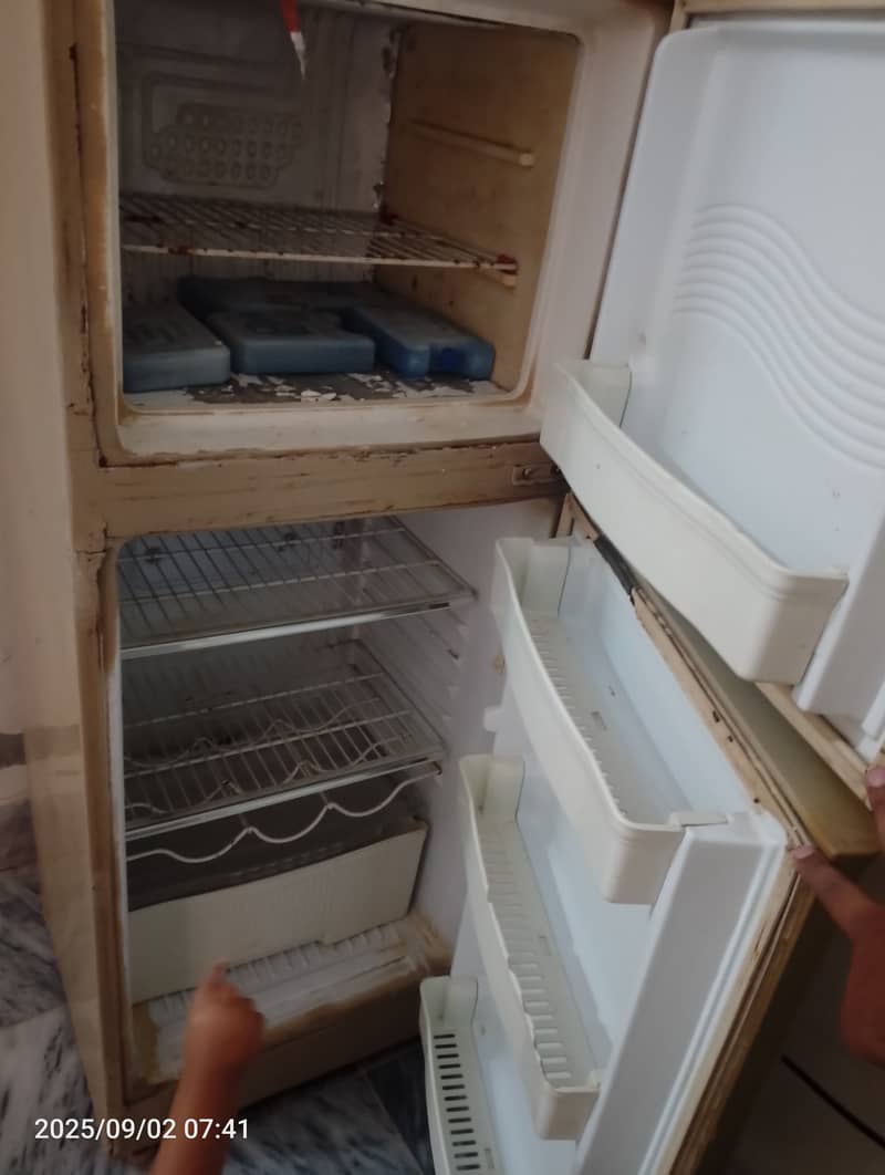 Fridge 1