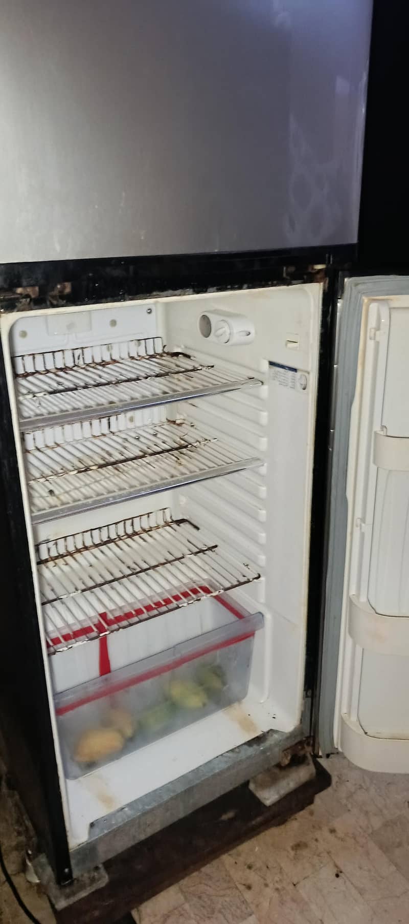 Orient Fridge 3