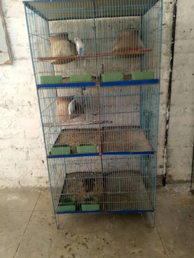 2 bajri k hory h or ek silver java h or cage 6 khano ka