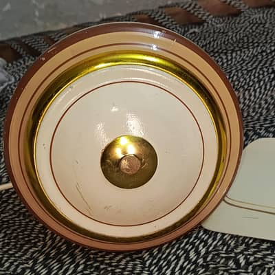 Brand New Celing Fan
