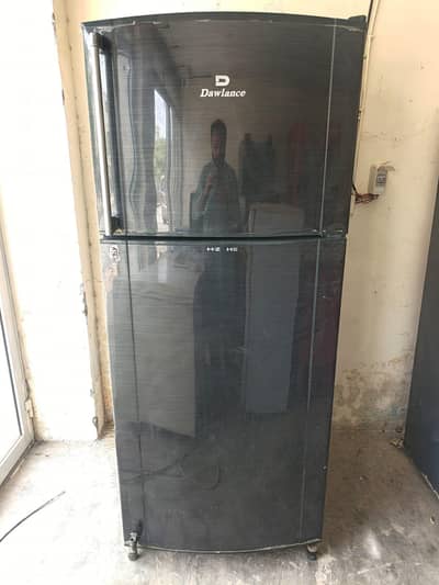 dawnlance jambo size fridge perfect cooling/0321/080/77/77/