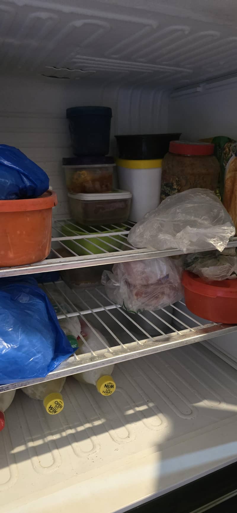Pel Fridge 2