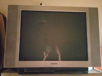 Television