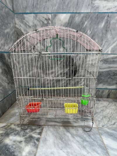 Bird cage