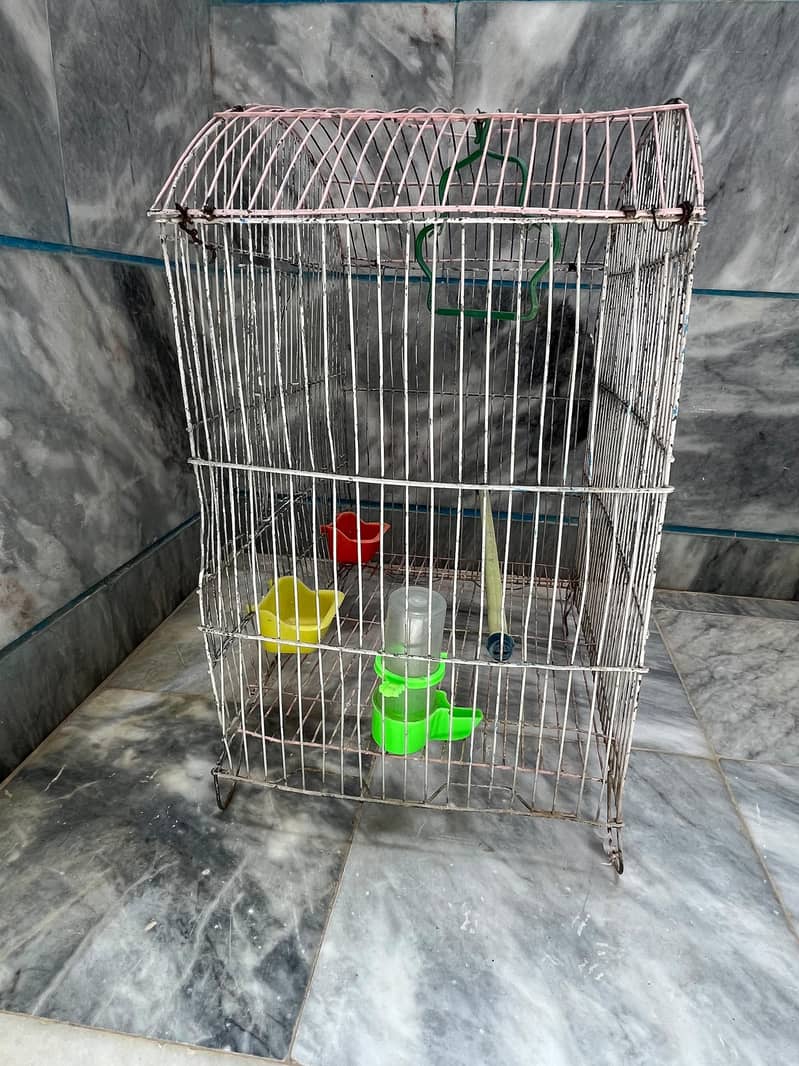 Bird cage 2