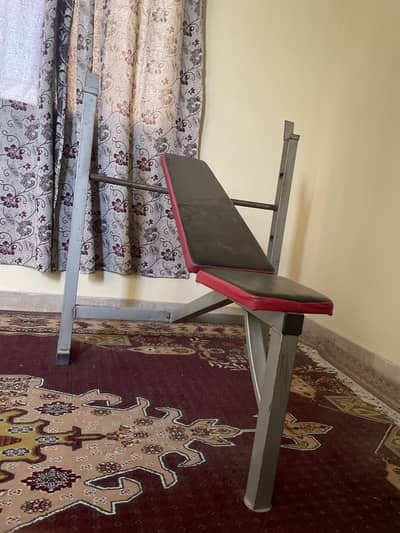 Sports Bench for perfect chest exercises