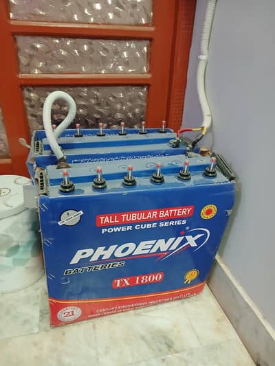 4 months old 2 tall tubular batteries