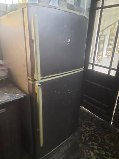 hair refrigerator