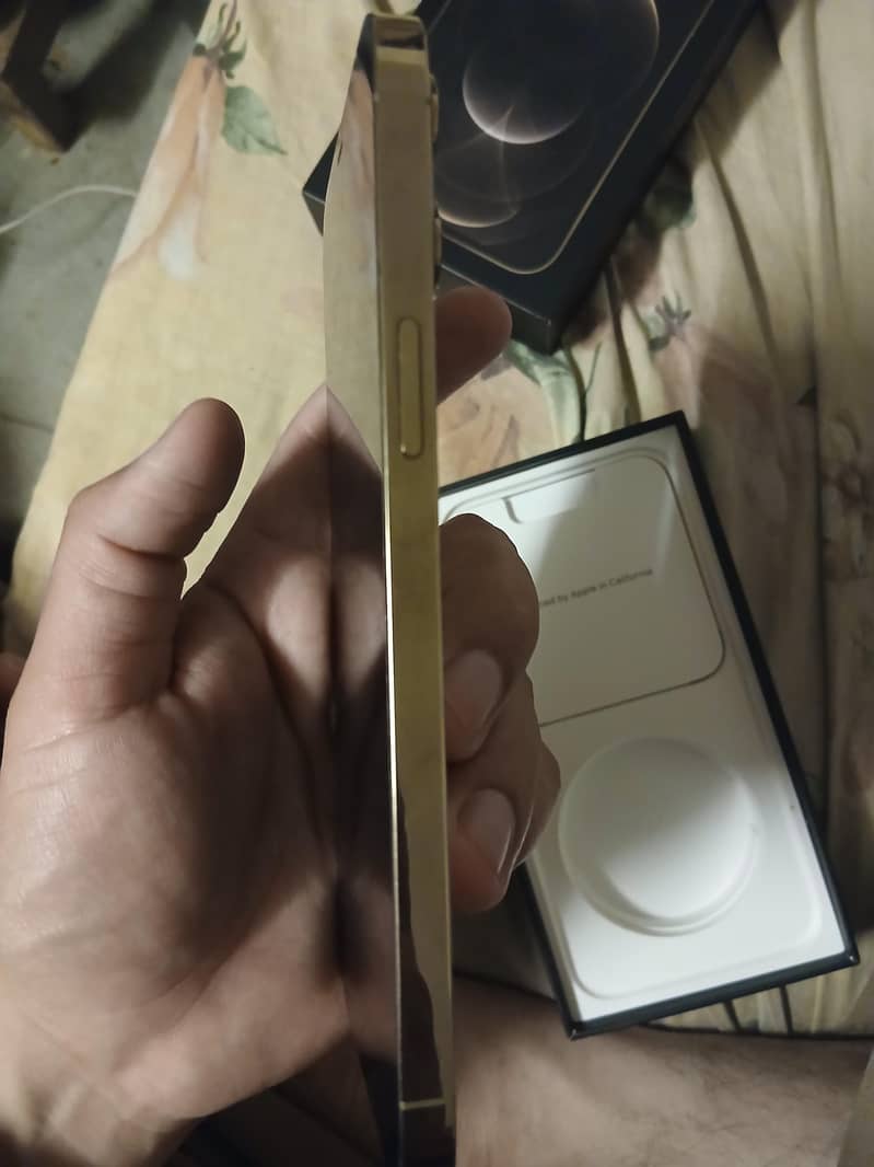 Iphone 12 Pro Max 3