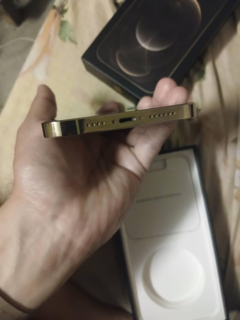 Iphone 12 Pro Max 6