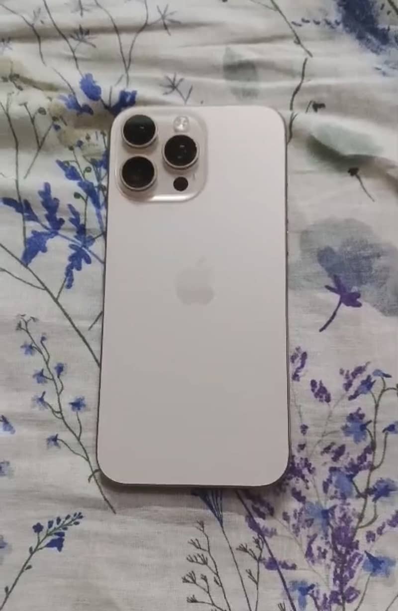 17 pro max 1